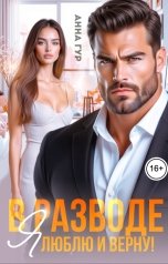 обложка книги Анна Гур "В Разводе. Я Люблю и Верну!"