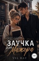 обложка книги Vel Ray "Заучка для мажора"