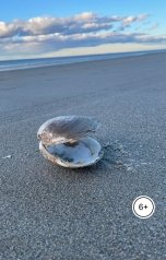 обложка книги кваза луанда "Курсанты-космонавты.Дерзость и страсть."