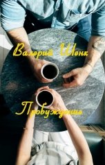 обложка книги Валерий Шенк "Пробуждение"