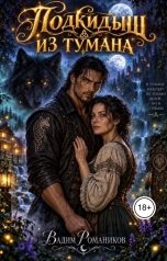 обложка книги Вадим Романиков "Подкидыш из тумана"