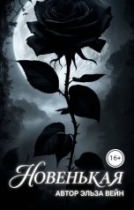 обложка книги Эльза Вейн "Новенькая"