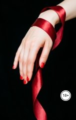 обложка книги Victoria Virel "Рабыня в спальне"