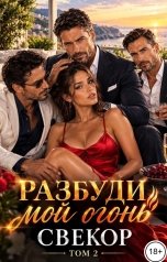 обложка книги Лера Орео "Разбуди мой огонь, свекор! Том 2"