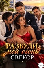 обложка книги Лера Орео "Разбуди мой огонь, свекор! Том 2"