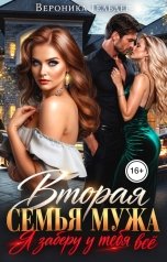 обложка книги Вероника Гельдер "Вторая семья мужа Я Заберу у тебя Всё"