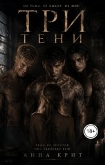 обложка книги Анна Крит "Три тени"