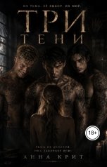 обложка книги Анна Крит "Три тени"