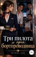 обложка книги Victoria Virel "Три пилота и одна бортпроводница"