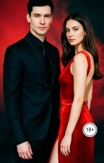 обложка книги Лорд Вейн "Серая мышка и Мажор"