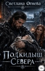 обложка книги Светлана Огнева "Подкидыш севера"