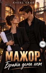обложка книги Алекс Скай "Мажор. Брата дома нет"