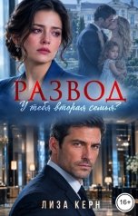 обложка книги Лиза Керн "Развод. У тебя вторая семья?"