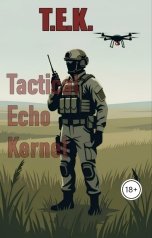 обложка книги Reynest "История T.E.K."