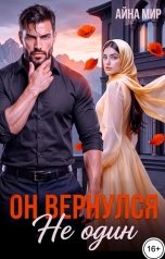 обложка книги Айна Мир "Он вернулся не один"