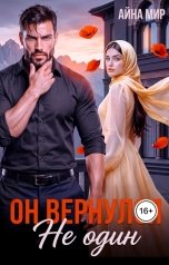 обложка книги Айна Мир "Он вернулся не один"