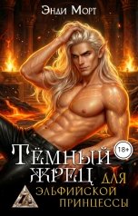 обложка книги Энди Морт "Темный жрец для эльфийской принцессы"
