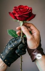 обложка книги Лорд Вейн "Два Доминанта для неё"