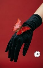 обложка книги Лорд Вейн "Жесткая Пикантная Романтика"