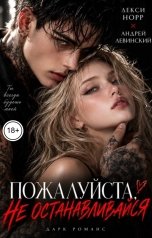 обложка книги Лекси Норр, Андрей Левинский "Пожалуйста, не останавливайся"