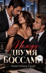 обложка книги Анастейша Грей "Между двумя боссами"