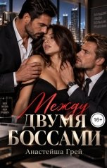 обложка книги Анастейша Грей "Между двумя боссами"