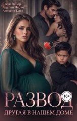 обложка книги Софи Вебер, Адалин Черно, Алексия Каст "Развод. Другая в нашем доме"