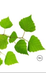 обложка книги Александр Посохов "Басни Посохова о хвори"