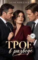 обложка книги Элли Чэндлер "Трое в разводе"