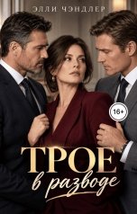 обложка книги Элли Чэндлер "Трое в разводе"