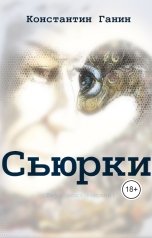 обложка книги Константин Ганин "Сьюрки"