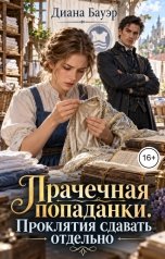 обложка книги Диана Бауэр "Прачечная попаданки. Проклятия сдавать отдельно"