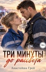 обложка книги Анастейша Грей "Три минуты до рассвета"