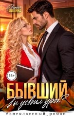 обложка книги Евгения Мишина "Бывший. Ты усвоил урок?"