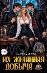 обложка книги Сандра Алеф "Их желанная добыча"