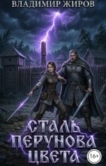 обложка книги Владимир Жиров "Сталь Перунова цвета"