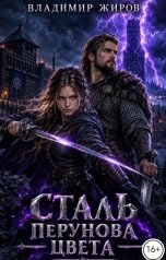 обложка книги Владимир Жиров "Сталь Перунова цвета"