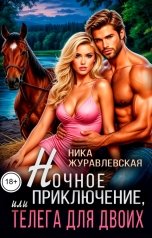 обложка книги Ника Журавлевская "Ночное приключение, или телега для двоих"
