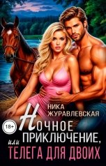 обложка книги Ника Журавлевская "Ночное приключение, или телега для двоих"