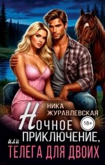 обложка книги Ника Журавлевская "Ночное приключение, или телега для двоих"