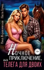 обложка книги Ника Журавлевская, Настя Алмаз "Ночное приключение, или телега для двоих"