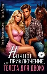 обложка книги Ника Журавлевская, Настя Алмаз "Ночное приключение, или телега для двоих"