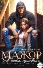 обложка книги Нателла Норт "Мажор. Я тебя присвою"