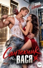обложка книги Лана Шторм "Саетехник Вася"