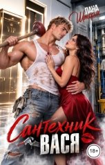 обложка книги Лана Шторм "Сантехник Вася"