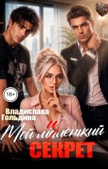 обложка книги Владислава Гольдина "Мой маленький секрет"
