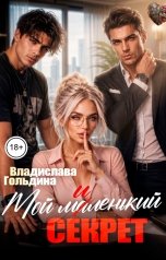 обложка книги Владислава Гольдина "Мой маленький секрет"