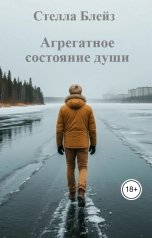 обложка книги Стелла Блейз "Агрегатное состояние души"
