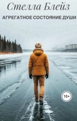 обложка книги Стелла Блейз "Агрегатное состояние души"