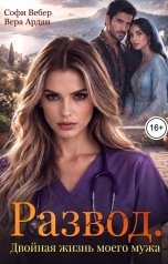 обложка книги Софи Вебер, Вера Ардан "Развод. Двойная жизнь моего мужа"